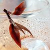 oriental_beauty_oolong202301