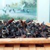oriental_beauty_oolong202302