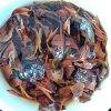 oriental_beauty_oolong202309