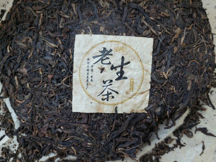 Respected Old Man Vintage Sheng Puerh | 2003, Lincang, Yunnan - Image 2