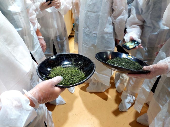 WE LOVE UJICHA! | Matcha, Sencha, Gyokuro Workshop & Tasting | 17.Jan.2025.16:30 - Image 4