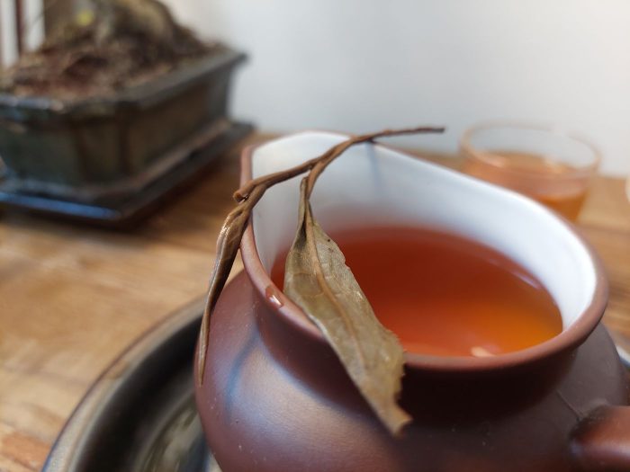 Round Forest Sheng Puerh | Smoky-Sandalwood Taste, Six Famous Tea Mountains 2015 - Image 3