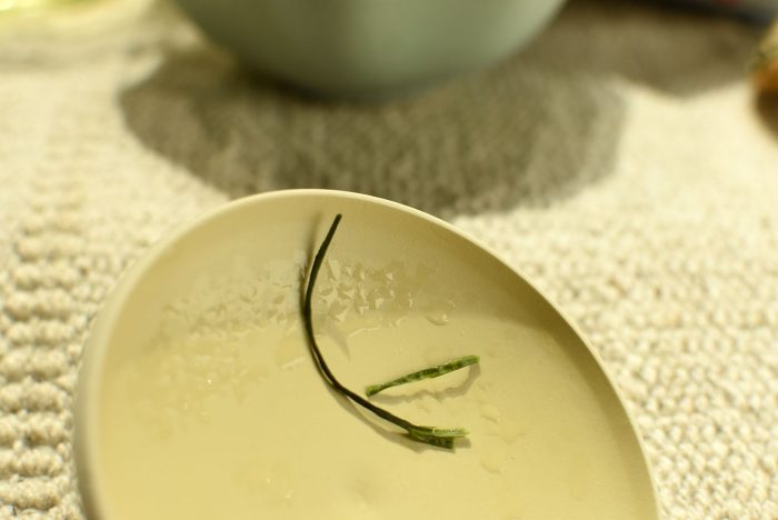 Hoshishoen Christal Sencha | Hoshinomura, Yame, Fukuoka 100g - Image 2