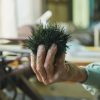 The Legacy of Gyokuro Masters – Exclusive Presentation and Tea Tasting - Image 3