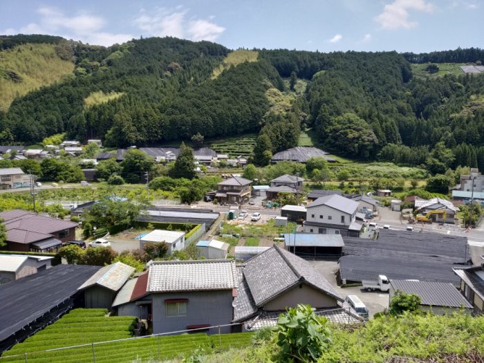 The Legacy of Gyokuro Masters – Exclusive Presentation and Tea Tasting - Image 7