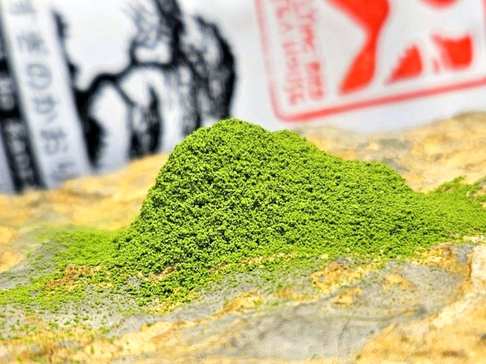 Ushijima Sugi no Kaori – Hoshino matcha | Yame, Fukuoka 30g - Image 4