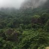 (FULL) Introduction to the Deepness of Wuyi Rock Teas | Presentation and Tea Tasting ~ 26th Apr.16:30 - Image 7