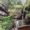 (FULL) Introduction to the Deepness of Wuyi Rock Teas | Presentation and Tea Tasting ~ 26th Apr.16:30 - Image 4