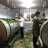 (FULL) Introduction to the Deepness of Wuyi Rock Teas | Presentation and Tea Tasting ~ 26th Apr.16:30 - Image 5
