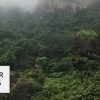 (FULL) Introduction to the Deepness of Wuyi Rock Teas | Presentation and Tea Tasting ~ 26th Apr.16:30