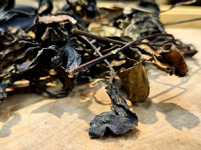 Formosa GABA White Tea 2025 | Large Sweet Leaves, with Apple and Cinnamon Notes "A" - Image 7