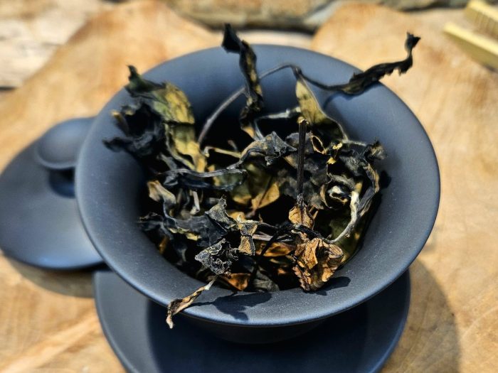 Formosa GABA White Tea 2025 | Large Sweet Leaves, with Apple and Cinnamon Notes "A"