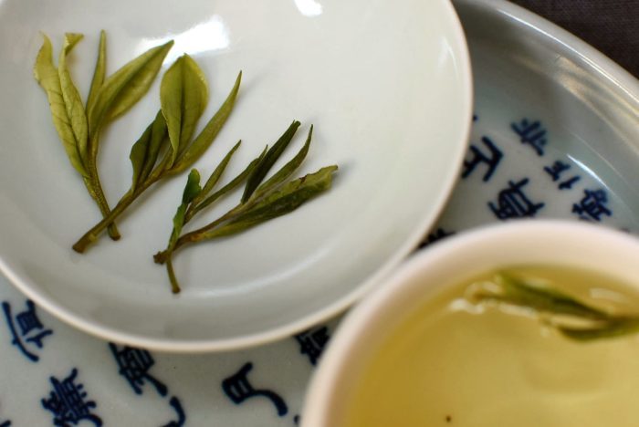 Highland Premium Anji Bai Cha 2025 | Long Xiang Huang Du - Image 3