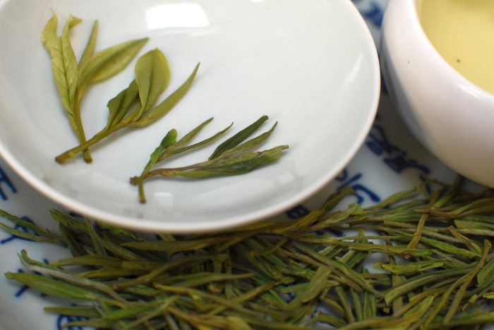 Highland Premium Anji Bai Cha 2025 | Long Xiang Huang Du - Image 2